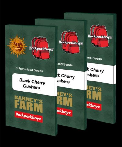 Black Cherry Gushers image