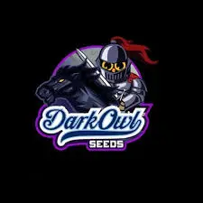 Dark Owl