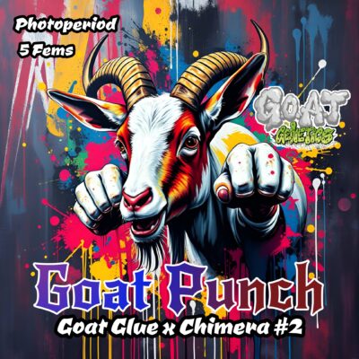 GOAT Punch GOAT Genetics promo image