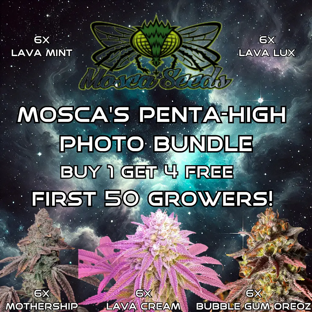 Mosca's penta-high photo BUNDLE
