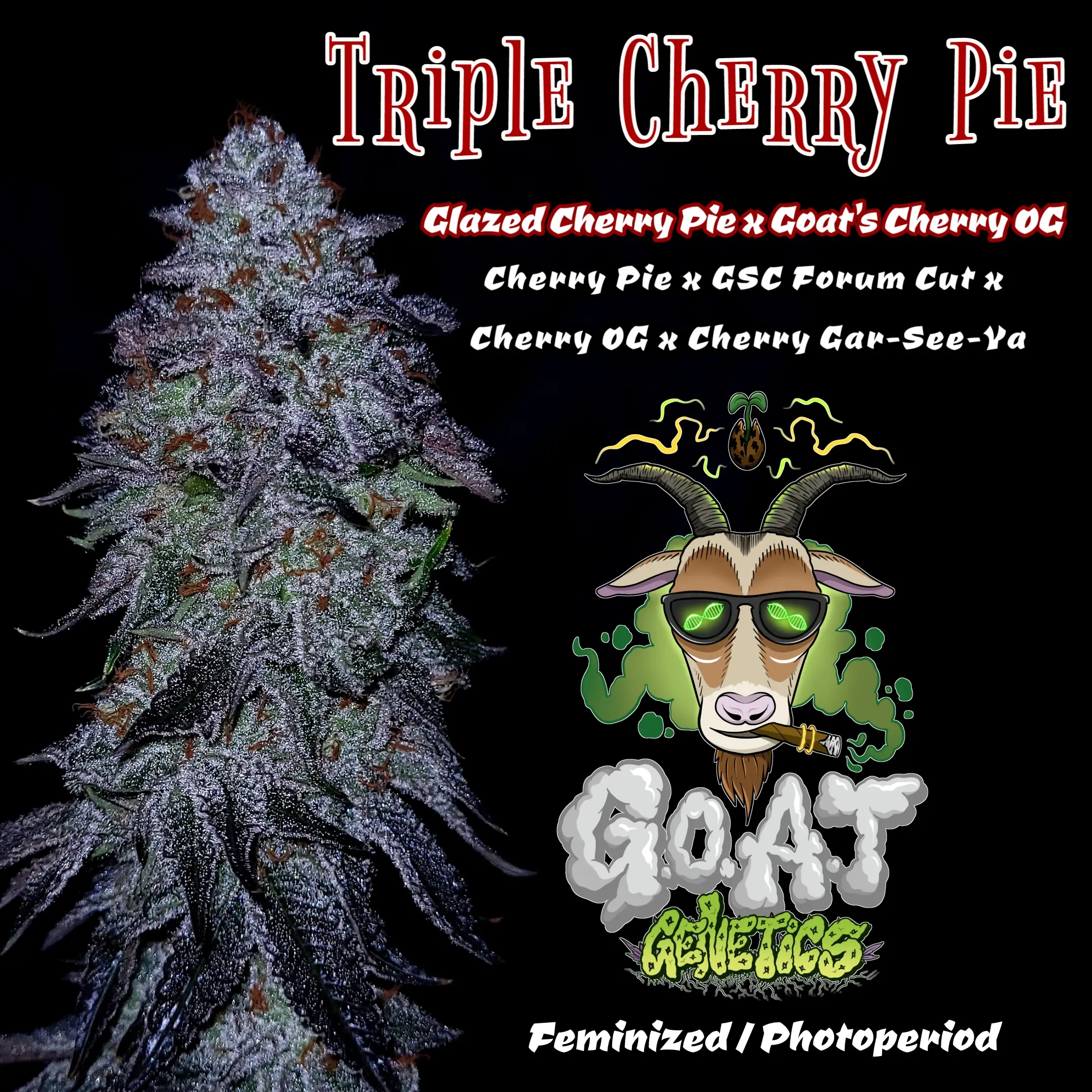 Triple Cherry Pie promo image