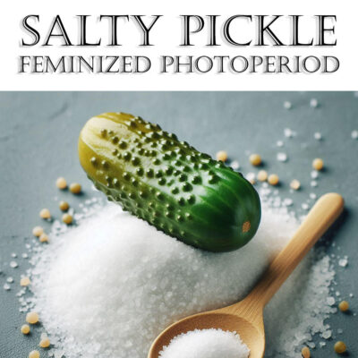 romulan genetics salty pickle fem photo Ai art