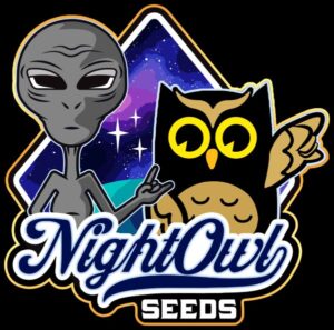 Night Owl Seeds logo