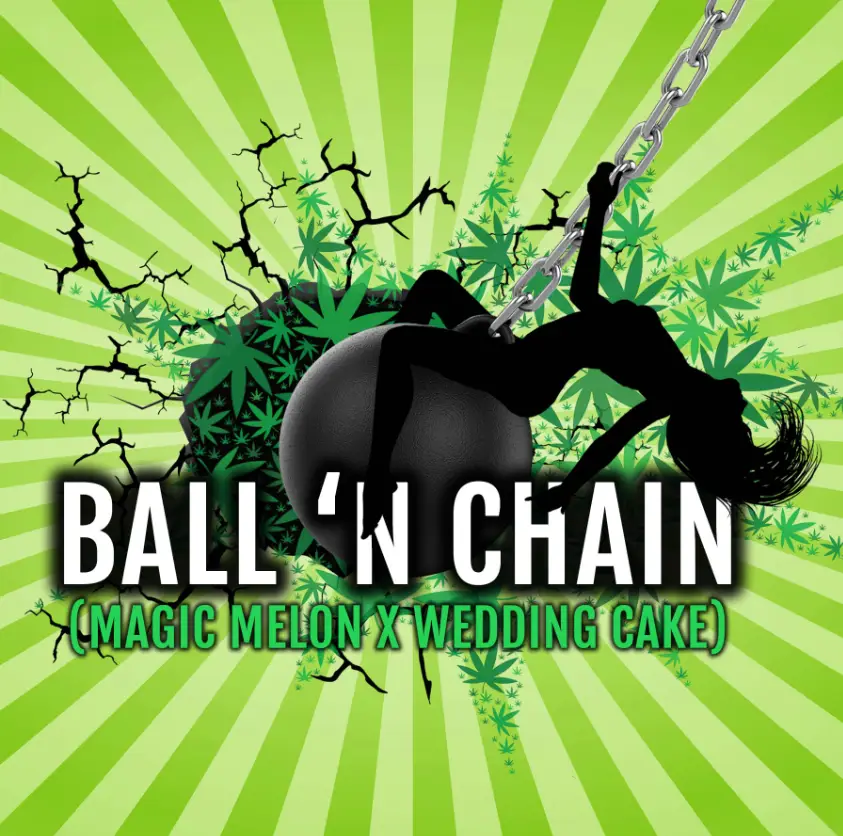 BALL 'N CHAIN logo