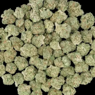 BATH SALTZ | LIT FARM SEEDS | FEMINIZED PHOTO CANNABIS SEEDS 10 PACKS