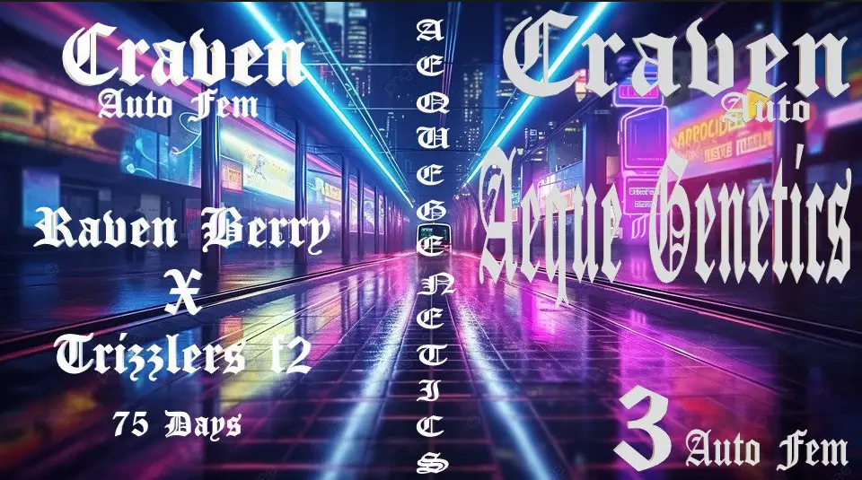 Craven Auto Fem poster