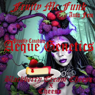 Fruity MC Funk promo