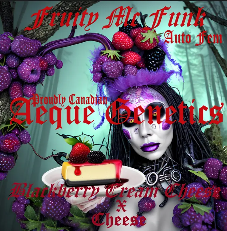 Fruity MC Funk promo