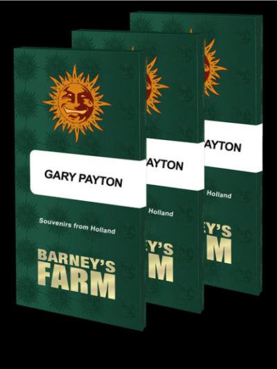 GARY PAYTON | BARNEY'S FARM | PHOTOPERIOD CANNABIS SEEDS FEMALE 1/3/5/10 PACKS