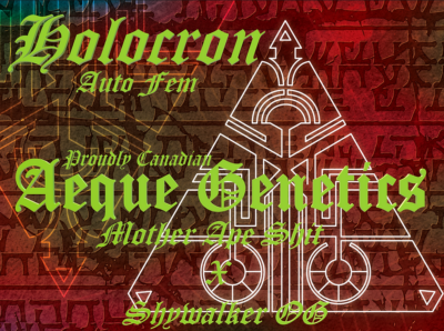 Holocran promo
