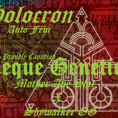 Holocran promo
