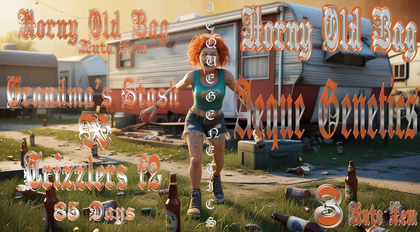 Horny Old Bag Auto Fem poster