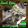 JEDI JUICE | ELEV8 SEEDS | PHOTOPERIOD CANNABIS SEEDS FEMALE 6 PACK - Image 3