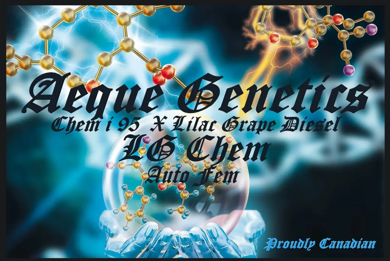 Aeque Genetics LG Chem Autom Fem poster