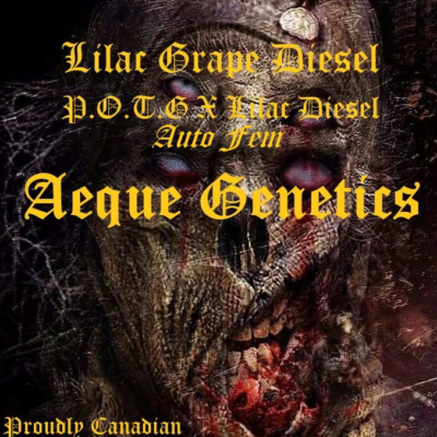 LG Diesel - Aeque promo image