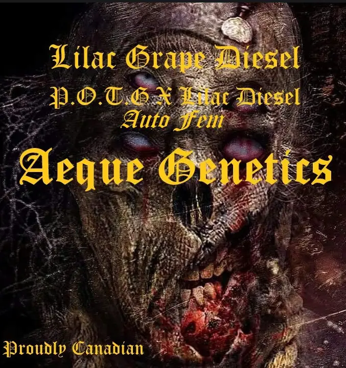 LG Diesel - Aeque promo image