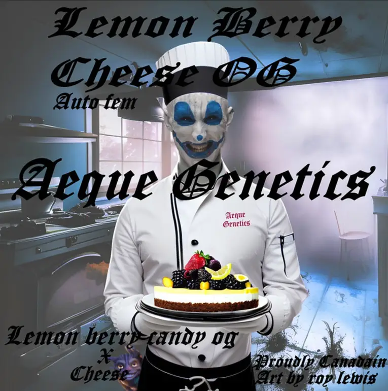 Lemon Berry Cheese OG promo