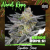 NERDS ROPE SN 1 | ELEV8 SEEDS | PHOTOPERIOD CANNABIS SEEDS FEMALE 6 PACK - Image 3