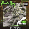 NERDS ROPE VARIETY | ELEV8 SEEDS | PHOTOPERIOD CANNABIS SEEDS FEMALE 6 PACK - Image 4