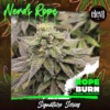 NERDS ROPE VARIETY | ELEV8 SEEDS | PHOTOPERIOD CANNABIS SEEDS FEMALE 6 PACK - Image 2