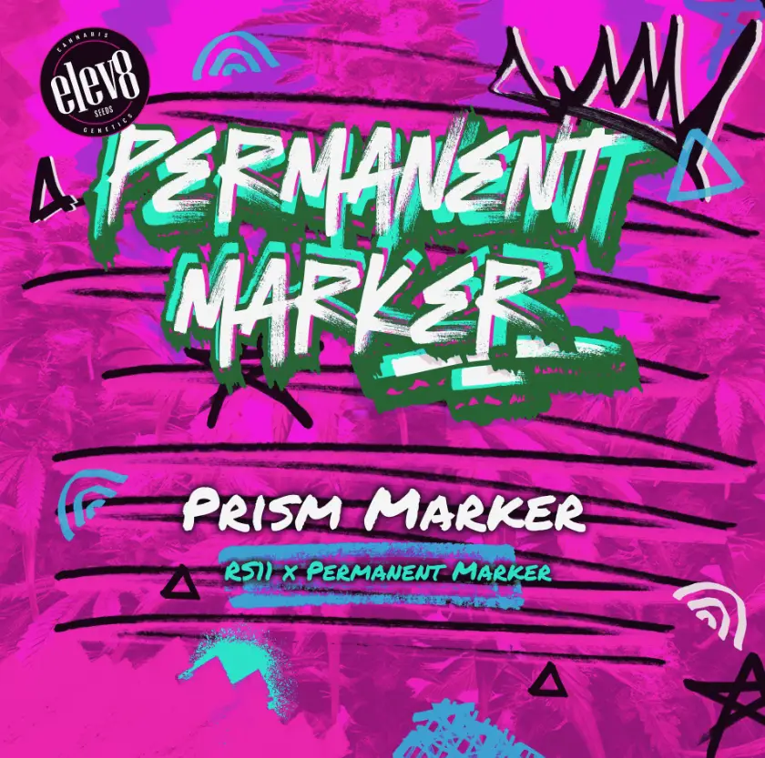 Prism marker image
