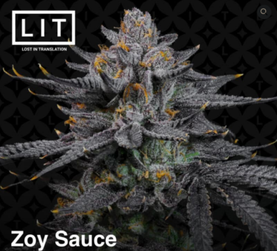 Zoy Sauce LIT Farm image