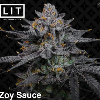 Zoy Sauce LIT Farm image