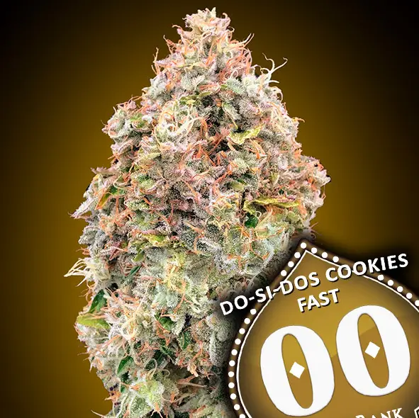 Do-Si-Dos Fast Cookies cannabis image