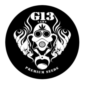 G13 Labs