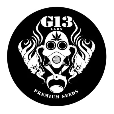 G13 Labs