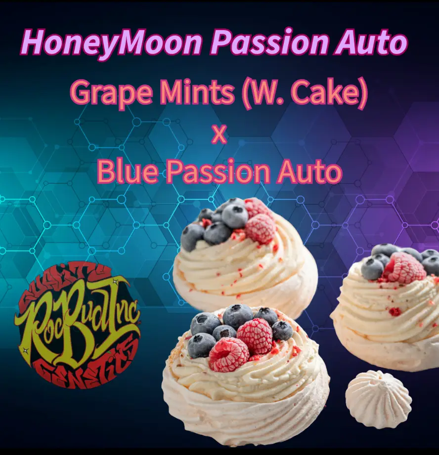HoneyMoon Passion - Roc Bud Inc