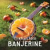 Banjerine promo image