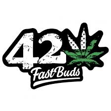 Fast Bugs logo