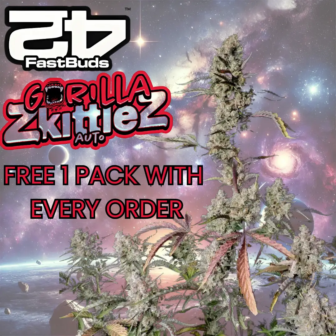 Multiverse Beans promo image