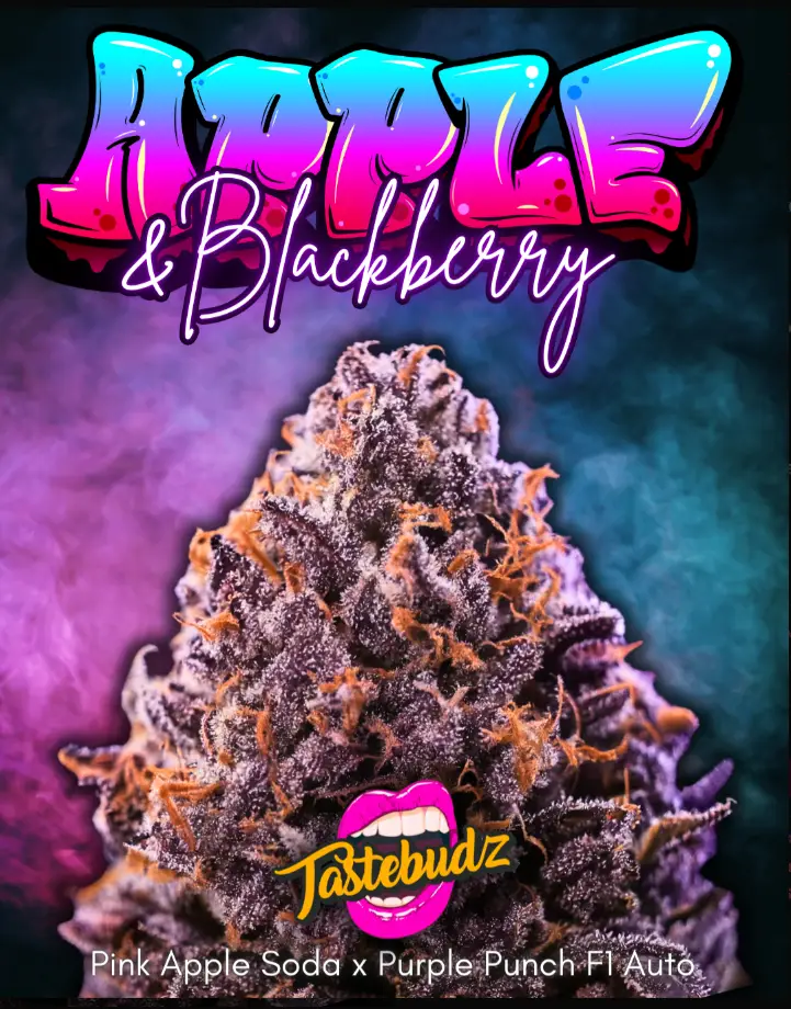 Apple & Blackberry - Tastebudz promo image