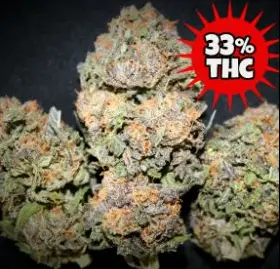 Blackberry Moonrocks - Tastebudz promo image