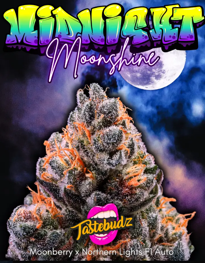 Midnight Moonshine - Tastebudz promo image