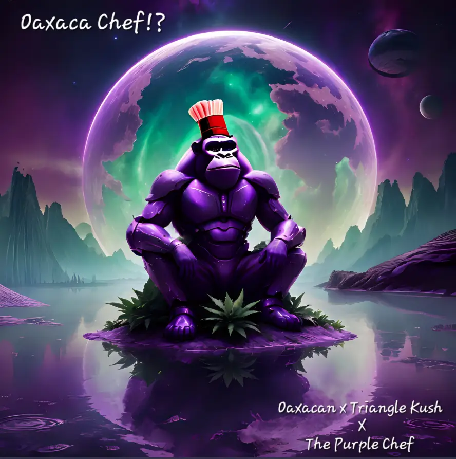 Oaxaca - Chef Budz cannabis image