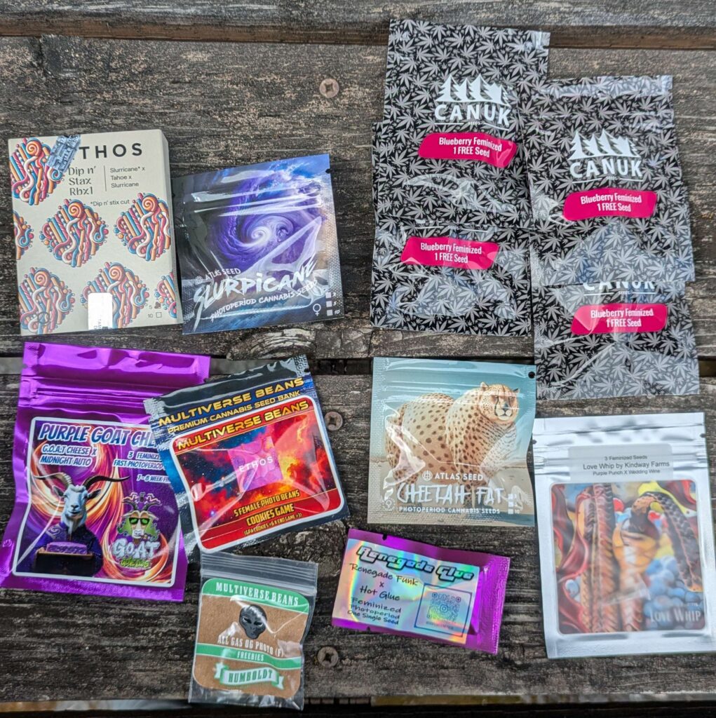 Multiverse Beans promo image