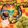 Pineapple Coconut promo image