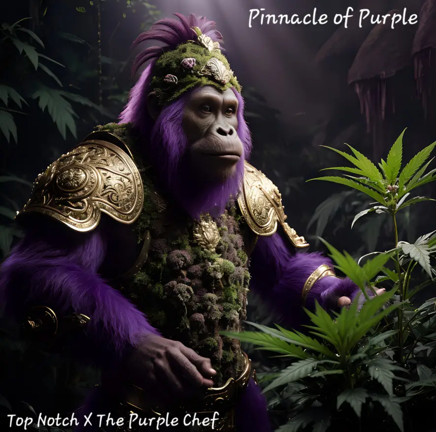 Pinnacle of Purple promo image