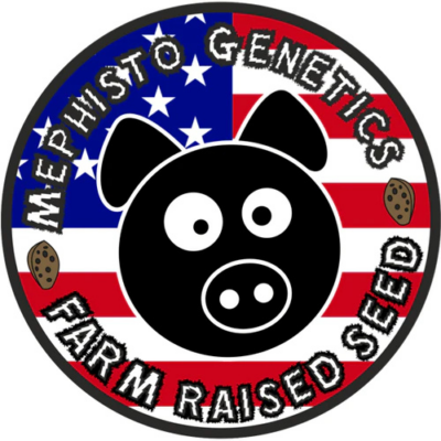 Mephisto Genetics image