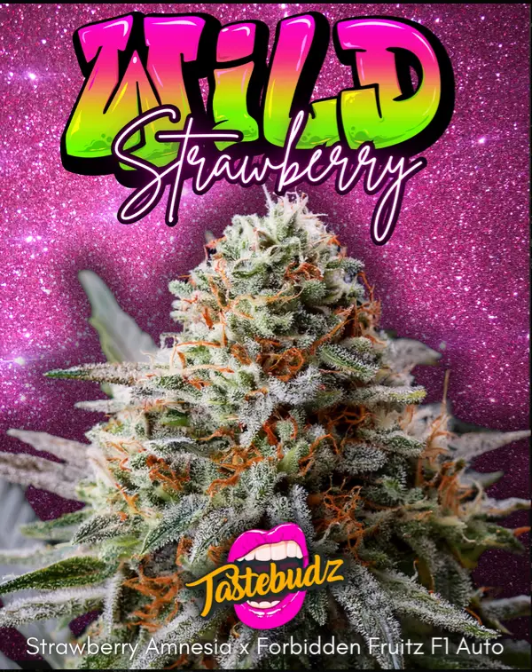 Wild Strawberry - Tastebudz promo image