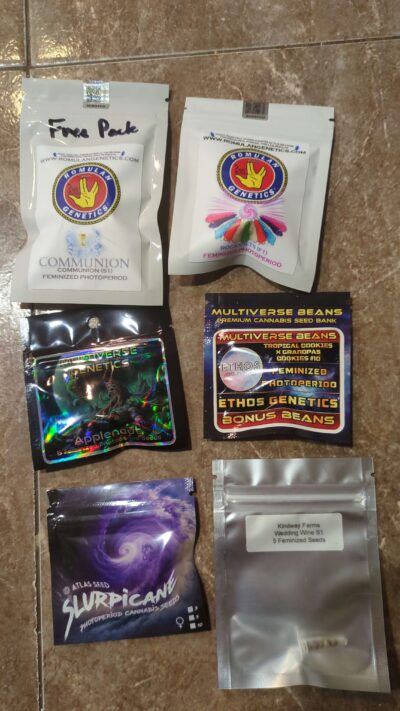 Dank You for Your Service Pack Bundle | $4.83 Per Seed Photo Bundle