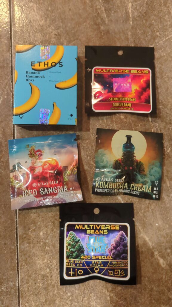 Image of Multiverse Beans products