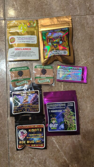 Freedom to Flower Bundle | $4.99 Per Seed Auto Bundle