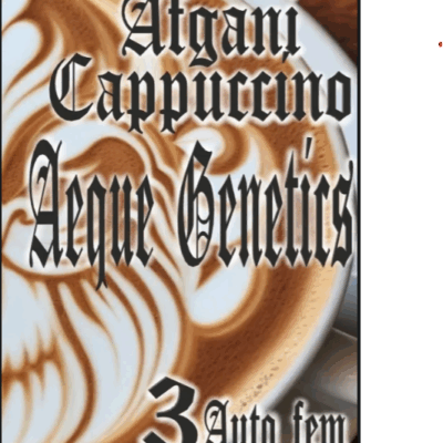 AFGHAN CAPPUCCINO | AEQUE GENETICS | AUTOFLOWER CANNABIS SEEDS FEMALE