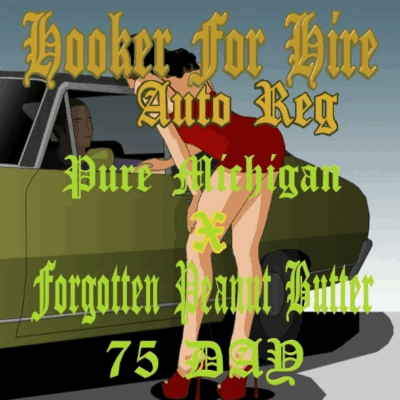 HOOKER FOR HIRE | AEQUE GENETICS | AUTOFLOWER CANNABIS SEEDS REGULAR
