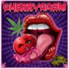 CHERRYGASM F2 | SUBCOOL SEEDS | PHOTOPERIOD CANNABIS SEEDS REGULAR - Image 2