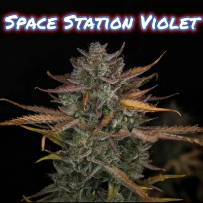 Space Station image
